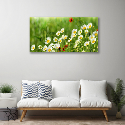 Fototryck canvas Daisy Plant Nature