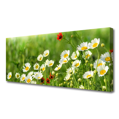 Fototryck canvas Daisy Plant Nature