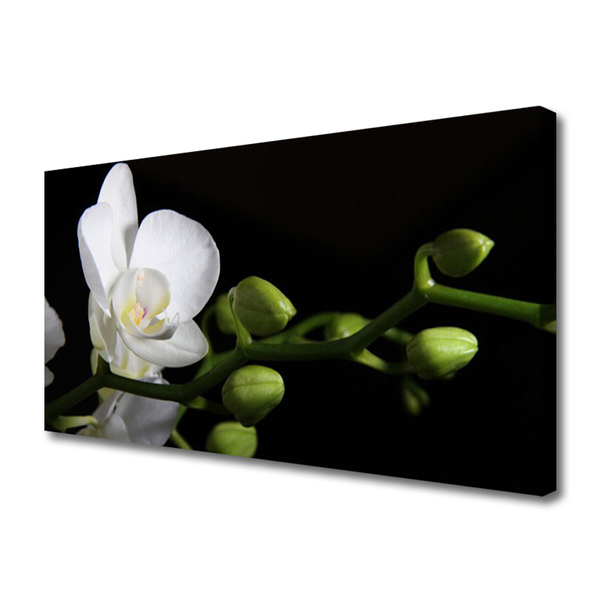 Fototryck canvas Blomma Växt Natur