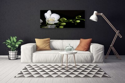 Fototryck canvas Blomma Växt Natur