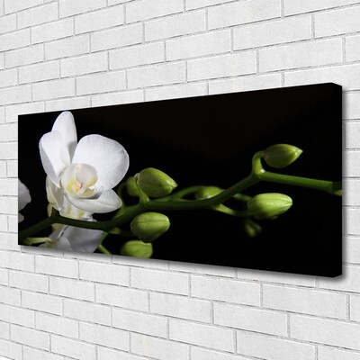 Fototryck canvas Blomma Växt Natur