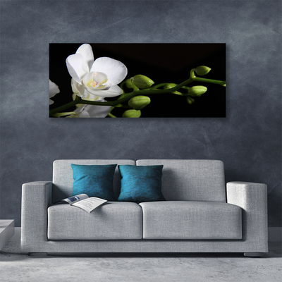 Fototryck canvas Blomma Växt Natur