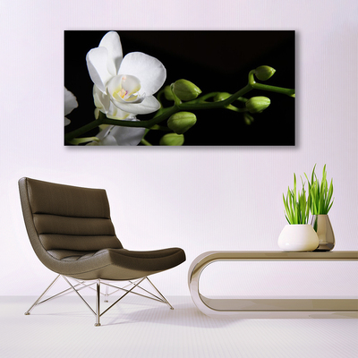 Fototryck canvas Blomma Växt Natur