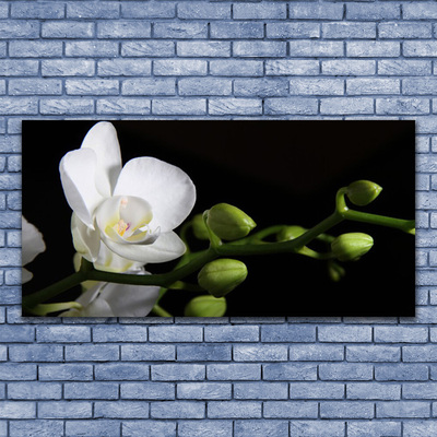 Fototryck canvas Blomma Växt Natur