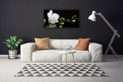 Fototryck canvas Blomma Växt Natur