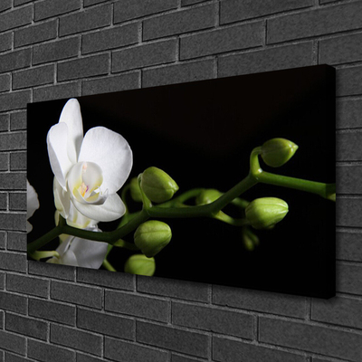 Fototryck canvas Blomma Växt Natur