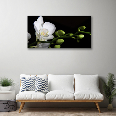 Fototryck canvas Blomma Växt Natur