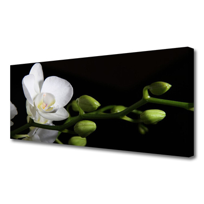 Fototryck canvas Blomma Växt Natur