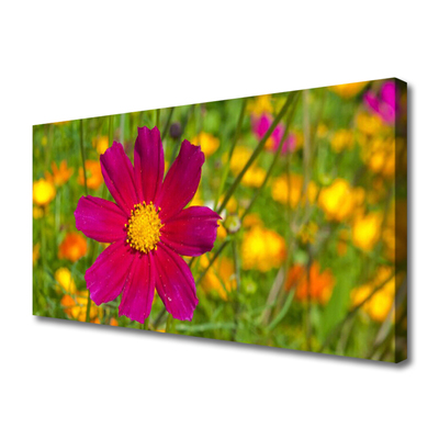 Canvas bild Blomma Växt Natur