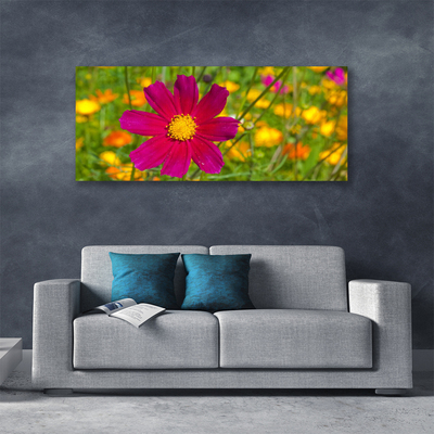 Canvas bild Blomma Växt Natur