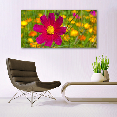 Canvas bild Blomma Växt Natur