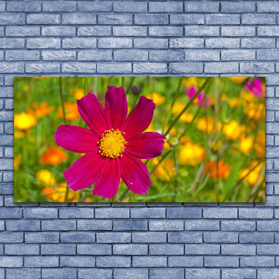 Canvas bild Blomma Växt Natur