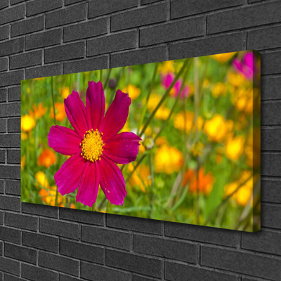 Canvas bild Blomma Växt Natur