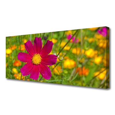 Canvas bild Blomma Växt Natur