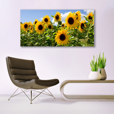 Canvas bild Solros blomma växt