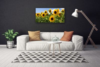 Canvas bild Solros blomma växt