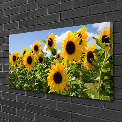 Canvas bild Solros blomma växt