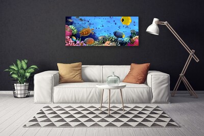 Canvas bild Korallrevs natur