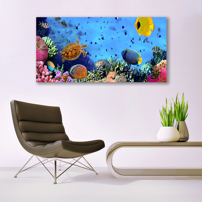 Canvas bild Korallrevs natur