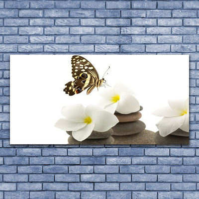 Bild på canvas Butterfly Flower Stones Plant