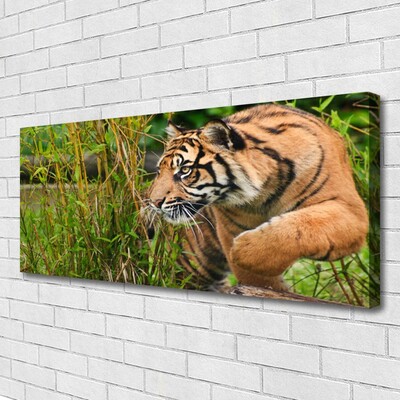 Bild canvas Tigerdjur