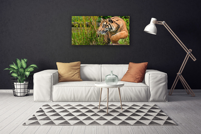 Bild canvas Tigerdjur