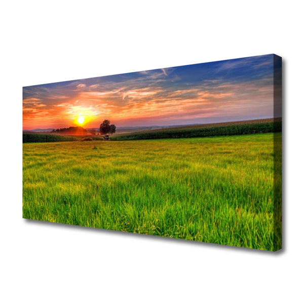 Fototryck canvas Ängssolens natur