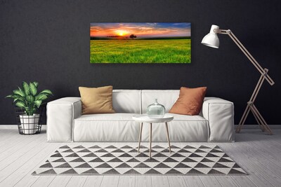 Fototryck canvas Ängssolens natur