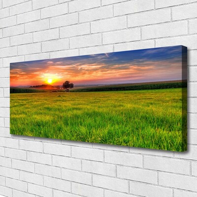 Fototryck canvas Ängssolens natur