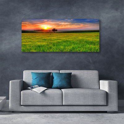 Fototryck canvas Ängssolens natur