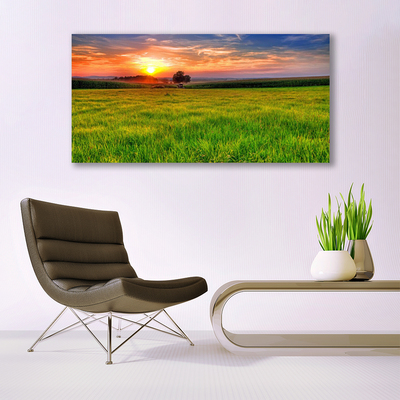 Fototryck canvas Ängssolens natur