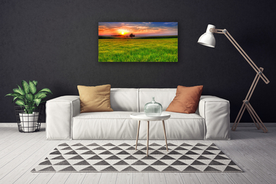 Fototryck canvas Ängssolens natur