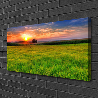 Fototryck canvas Ängssolens natur