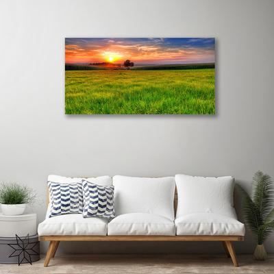 Fototryck canvas Ängssolens natur