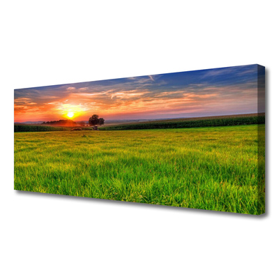 Fototryck canvas Ängssolens natur