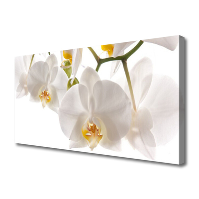 Bild canvas Blommor Växtnatur