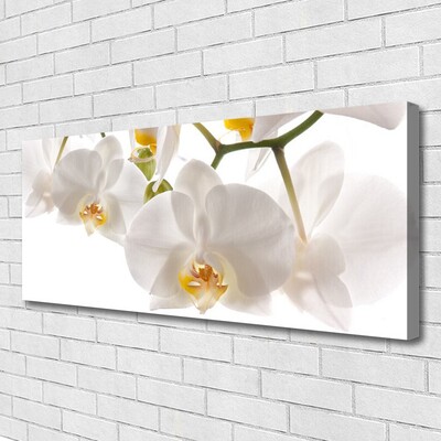 Bild canvas Blommor Växtnatur