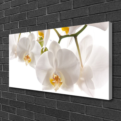 Bild canvas Blommor Växtnatur