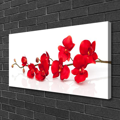 Bild canvas Blommor Växtnatur