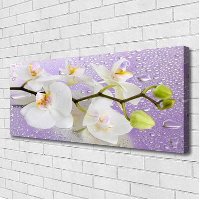 Canvas bild Blommor Växtnatur