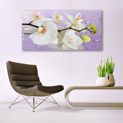 Canvas bild Blommor Växtnatur