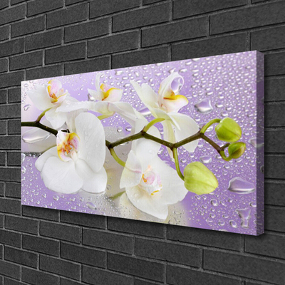 Canvas bild Blommor Växtnatur