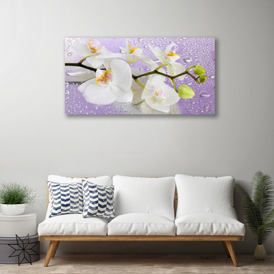 Canvas bild Blommor Växtnatur