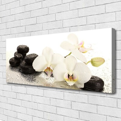 Canvas bild Blomstensväxt