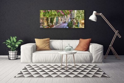 Fototryck canvas Alley Blommor Hus Plant