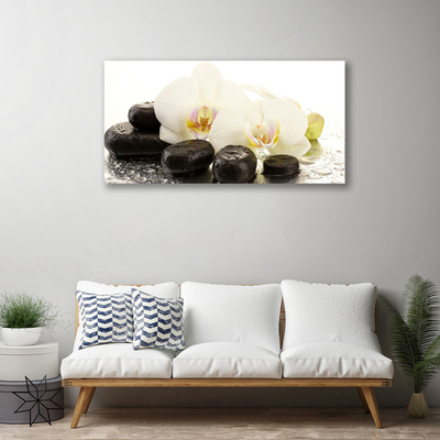 Fototryck canvas Blomstenar Art