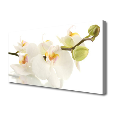 Fototryck canvas Blommor Växtnatur