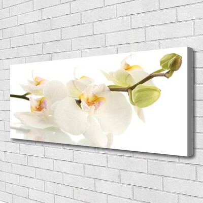 Fototryck canvas Blommor Växtnatur