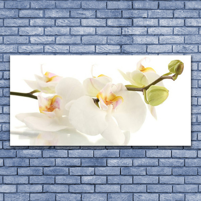 Fototryck canvas Blommor Växtnatur