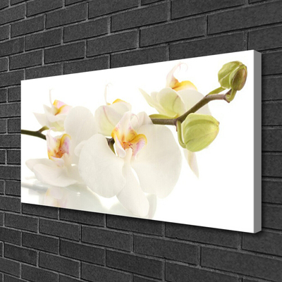 Fototryck canvas Blommor Växtnatur